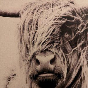 Bison Buffalo Wall Art. Animal theme. Black and white